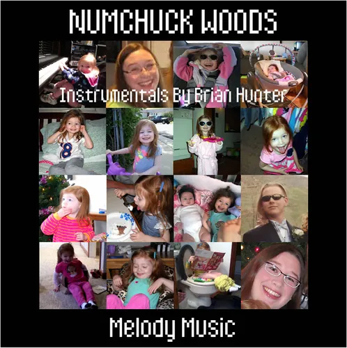 Numchuck Woods (2013)