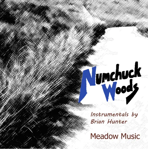 Numchuck Woods (2019)